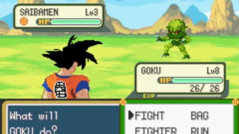 Dragon Ball Z Team Training-4