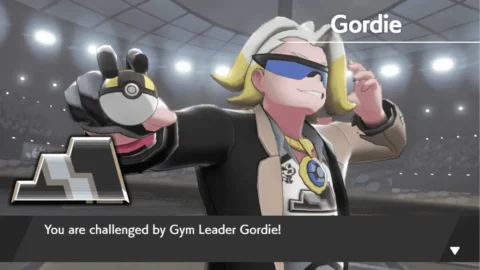 Gym Leader Simulator-3