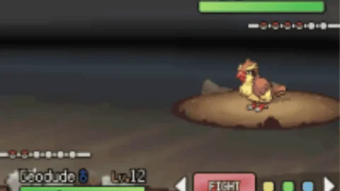 Gym Leader Simulator-4