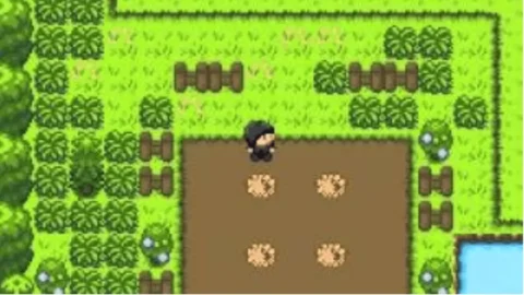 Harvestcraft-2