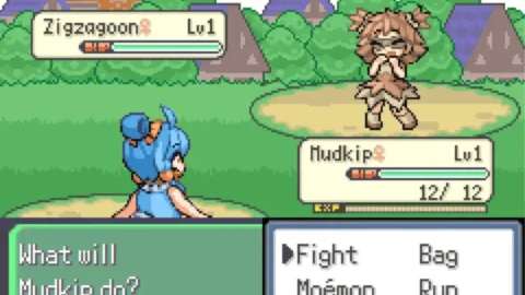 Moemon Star Emerald-4