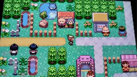 Perfect Emerald-4