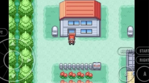 Perfect Fire Red-4