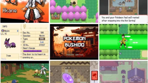 Pokemon Bushido-1