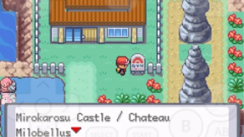 Pokemon Cloud White-3