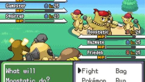 Pokemon Clover-1