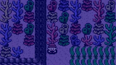 Pokemon Coral Version-1