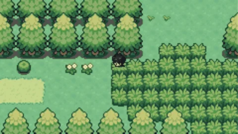Pokemon Crown-3