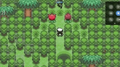 Pokemon Emerald Imperium-2