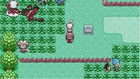 Pokemon Emerald Multiplayer-2