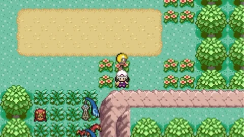 Pokemon Emerald Rogue-2