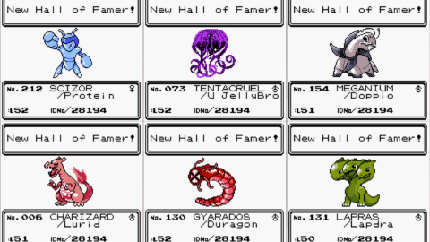 Pokemon Fools Gold-4