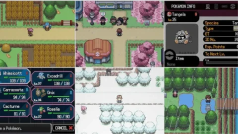 Pokemon Hollow Woods-1