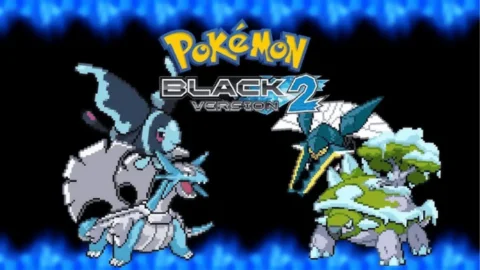 Pokemon Infinite Black 2-1