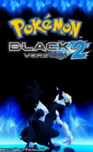Pokemon Infinite Black 2