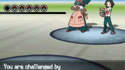 Pokemon Infinite Black 2-2