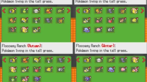 Pokemon Infinite Black 2-3