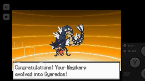 Pokemon Infinite Black 2-4