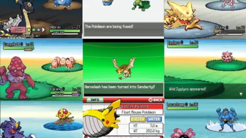 Pokemon Infinite Fusion-1