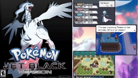 Pokemon JetBlack-1