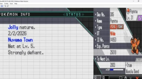 Pokemon JetBlack-4
