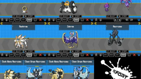 Pokemon Moon Black 2-4