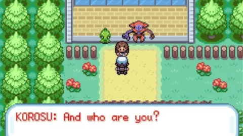 Pokemon Outlaw image 1