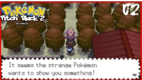 Pokemon Pitch Black 2-4