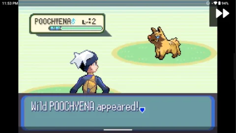 Pokemon Royal Sapphire image 4