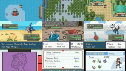Pokemon Saffron-2