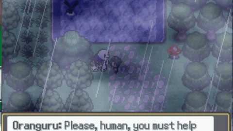 Pokemon Soulstones-3