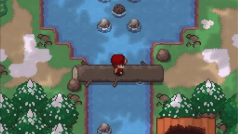 Pokemon Void-1