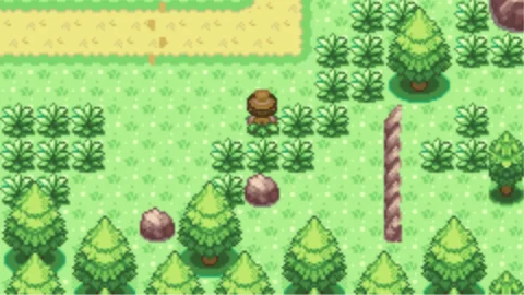 Pokemon Voyager image 2