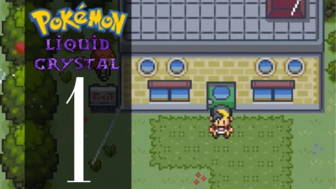 liquid crystal-2