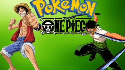 FR One Piece-1
