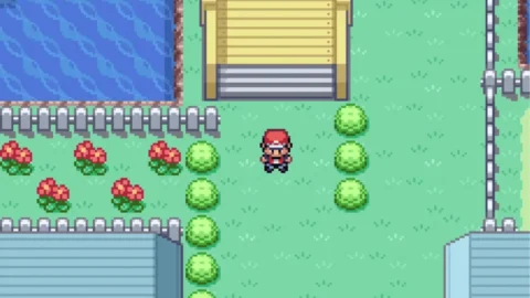 FireRed & LeafGreen-2