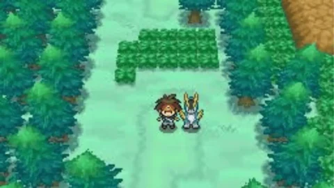 Hoenn White 2-2