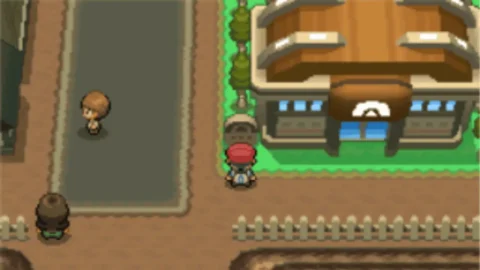 Platinum Entrance Randomizer-3
