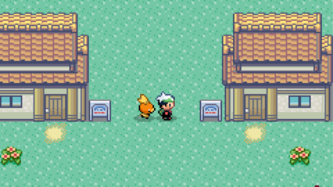 PokeSouls-2