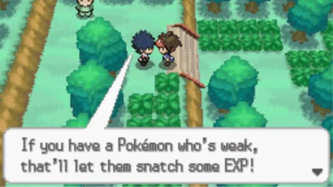 Pokemon Blaze Black 2 (2)