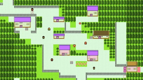 Pokemon Bronze 2-1