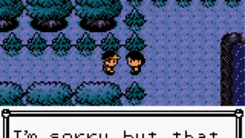 Pokemon Bronze 2-2
