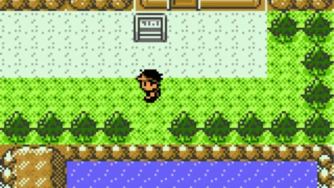 Pokemon Bronze 2-3