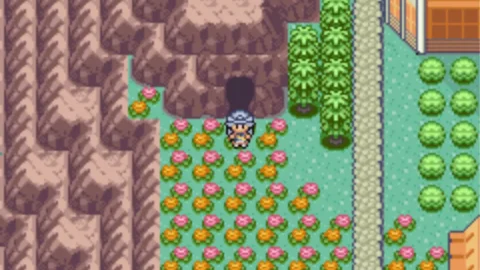 Pokemon CAWPS-1