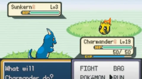 Pokemon Pokeverse-4