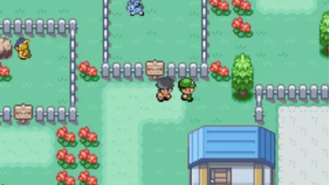 Pokemon Valor-1