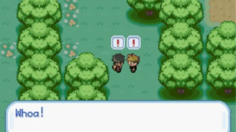 Pokemon Valor-4