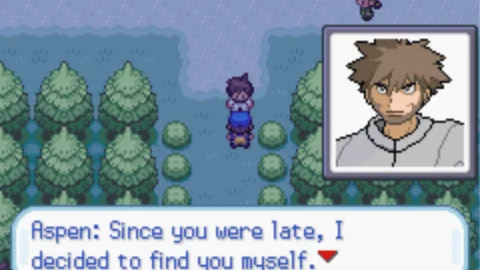 Pokemon Wish-2