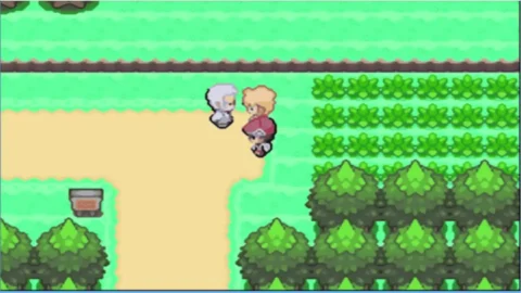 Sinnoh Legacy-1